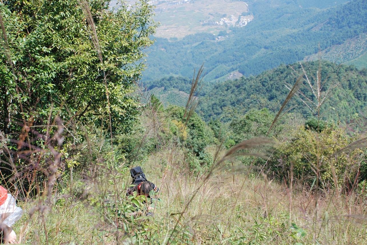 DSC_0155.JPG
