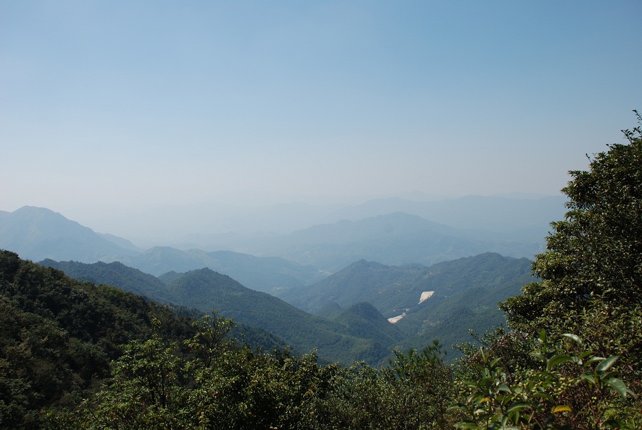 DSC_0172.JPG