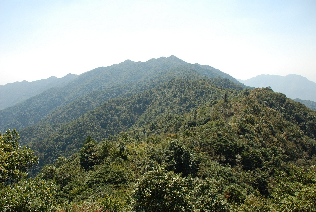 DSC_0173.JPG