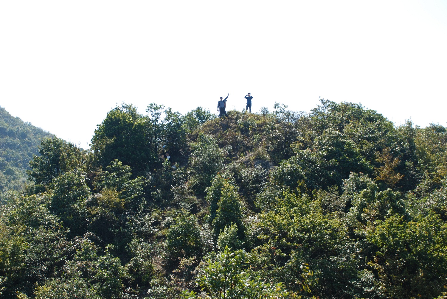 DSC_0214.JPG
