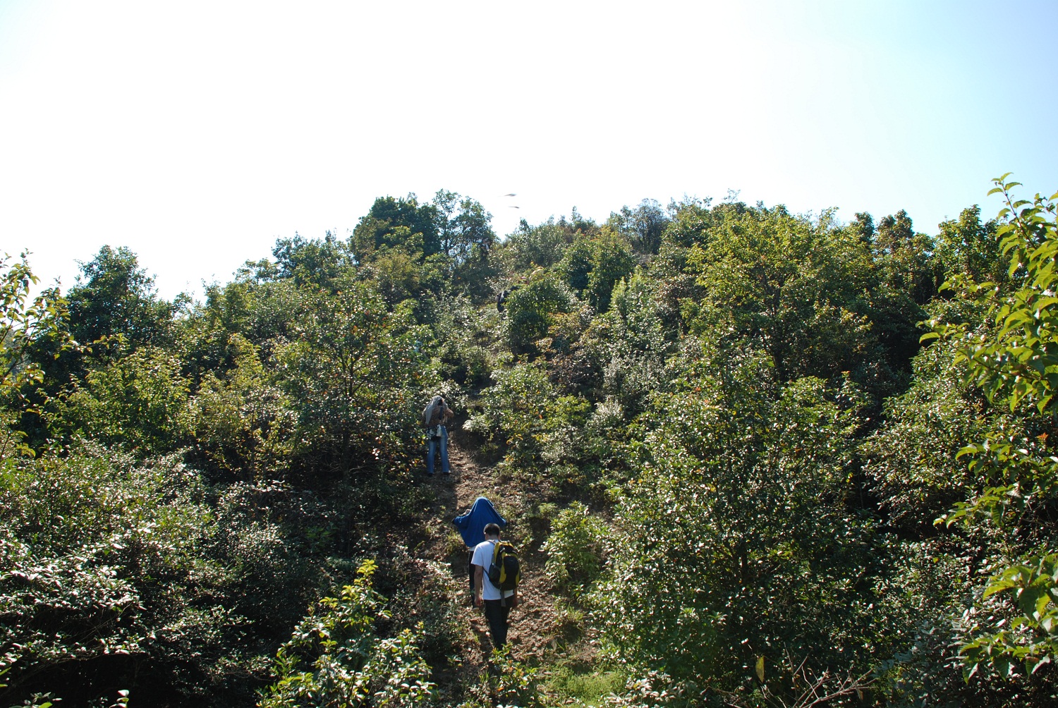 DSC_0216.JPG