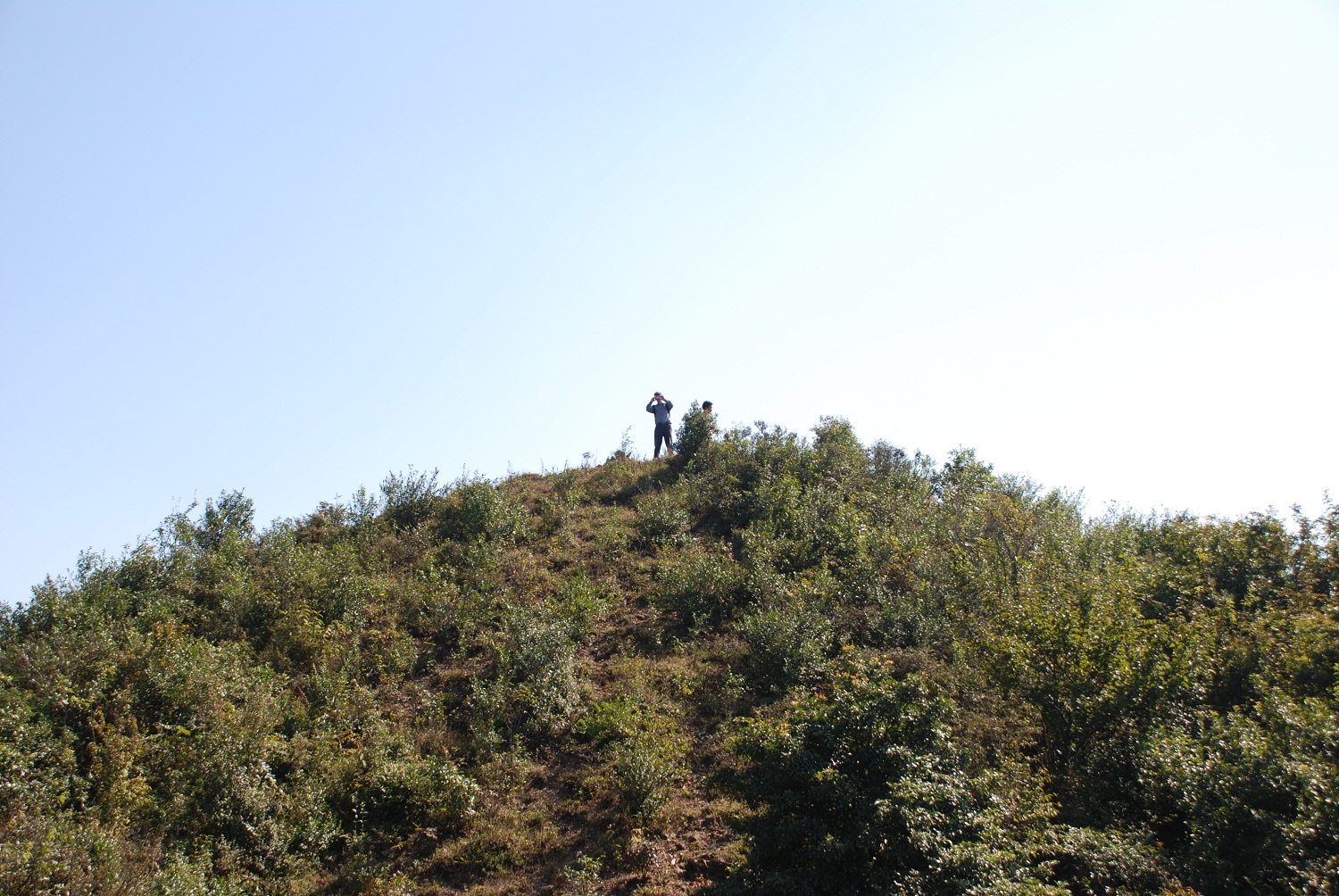 DSC_0220.JPG