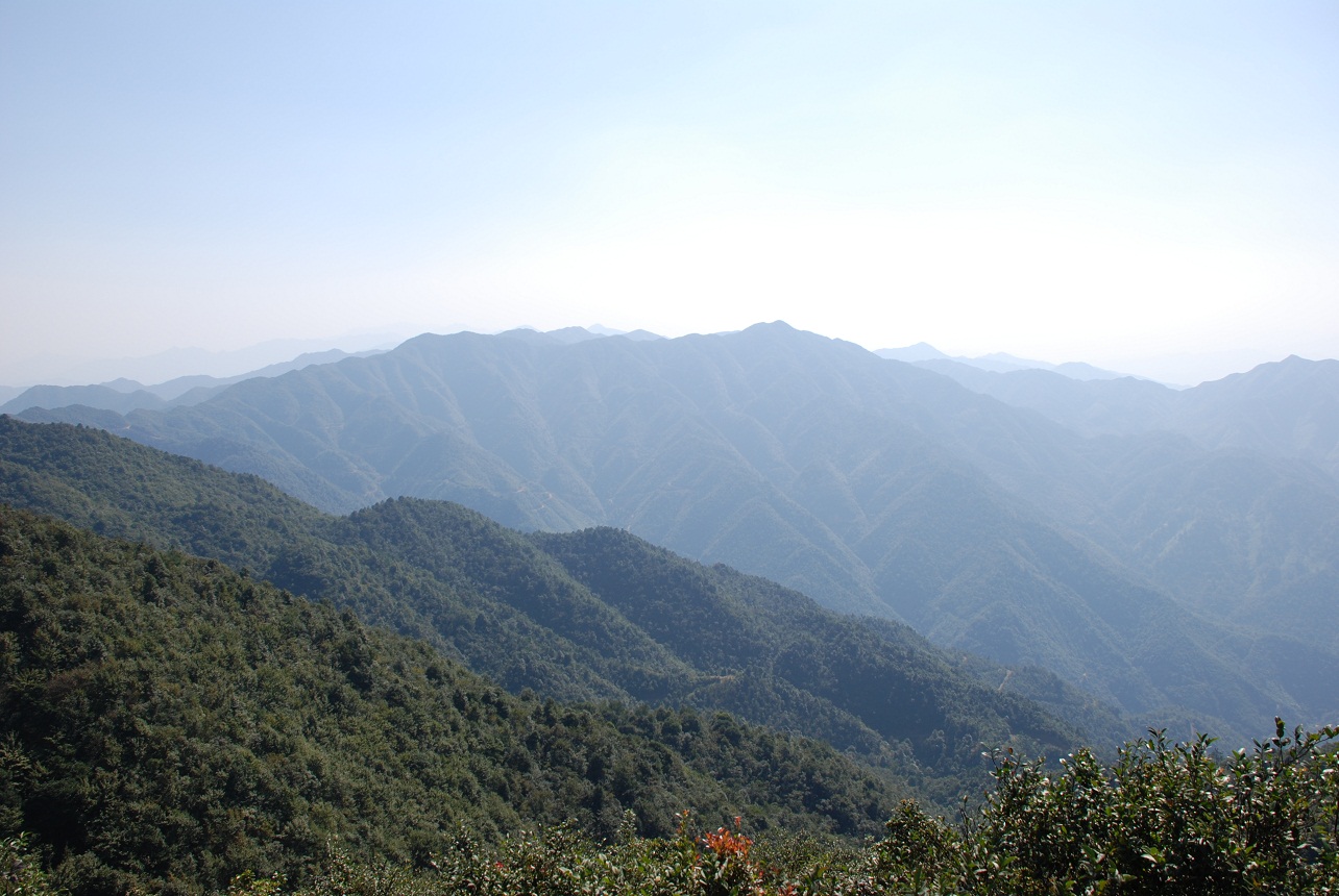 DSC_0232.JPG