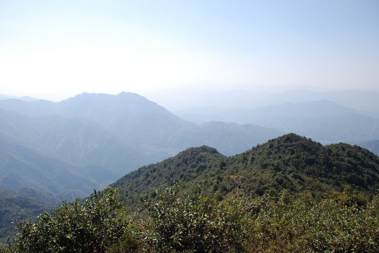 DSC_0233.JPG