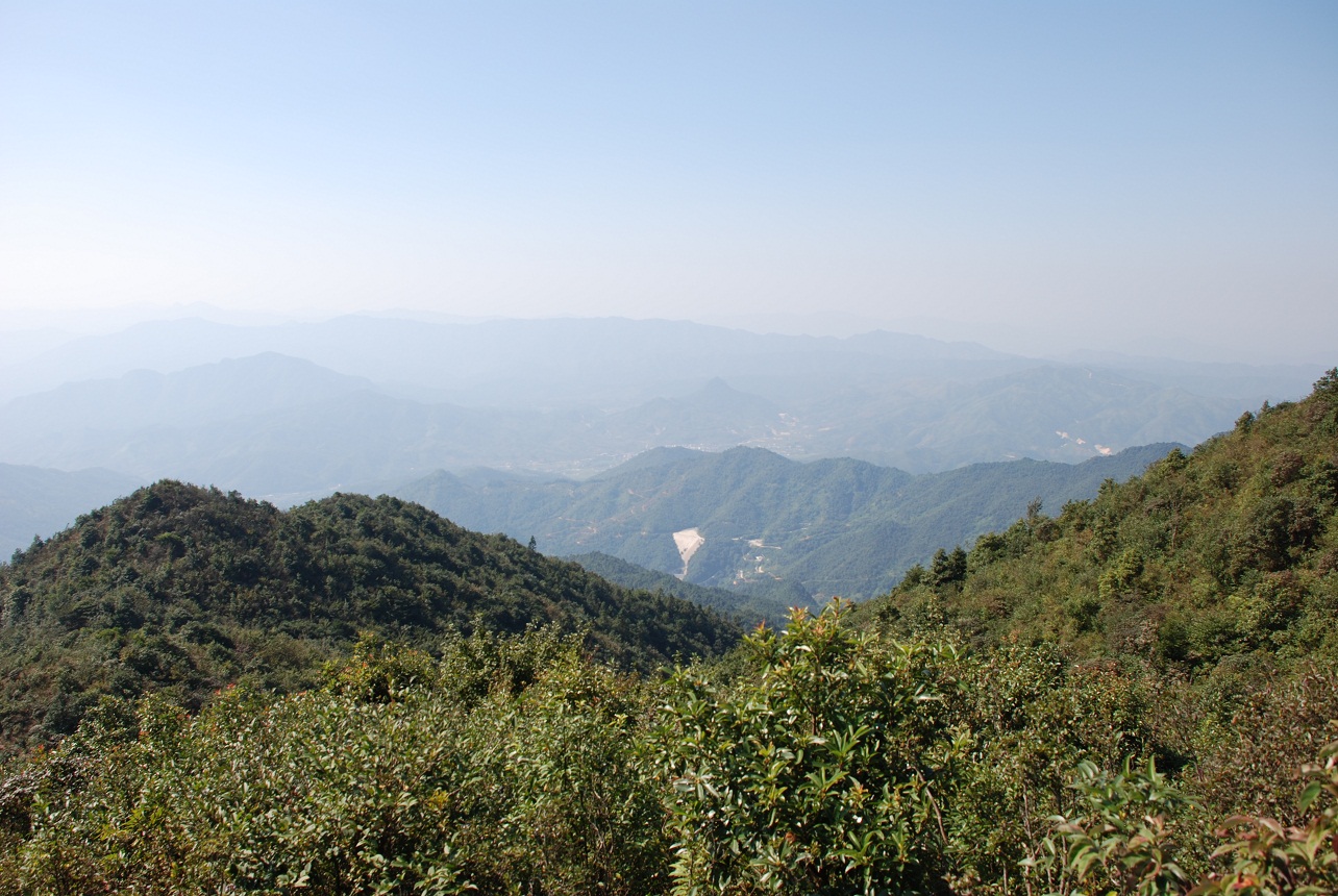 DSC_0234.JPG