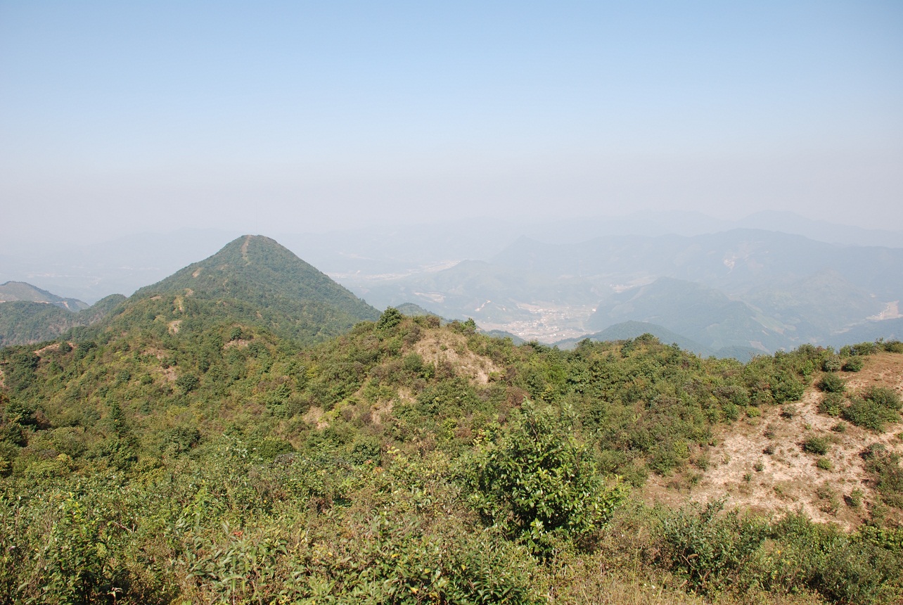 DSC_0235.JPG
