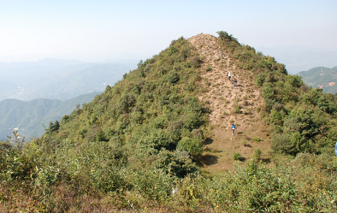 DSC_0243.JPG