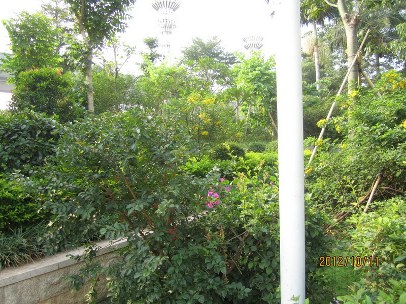 IMG_2186_С.JPG
