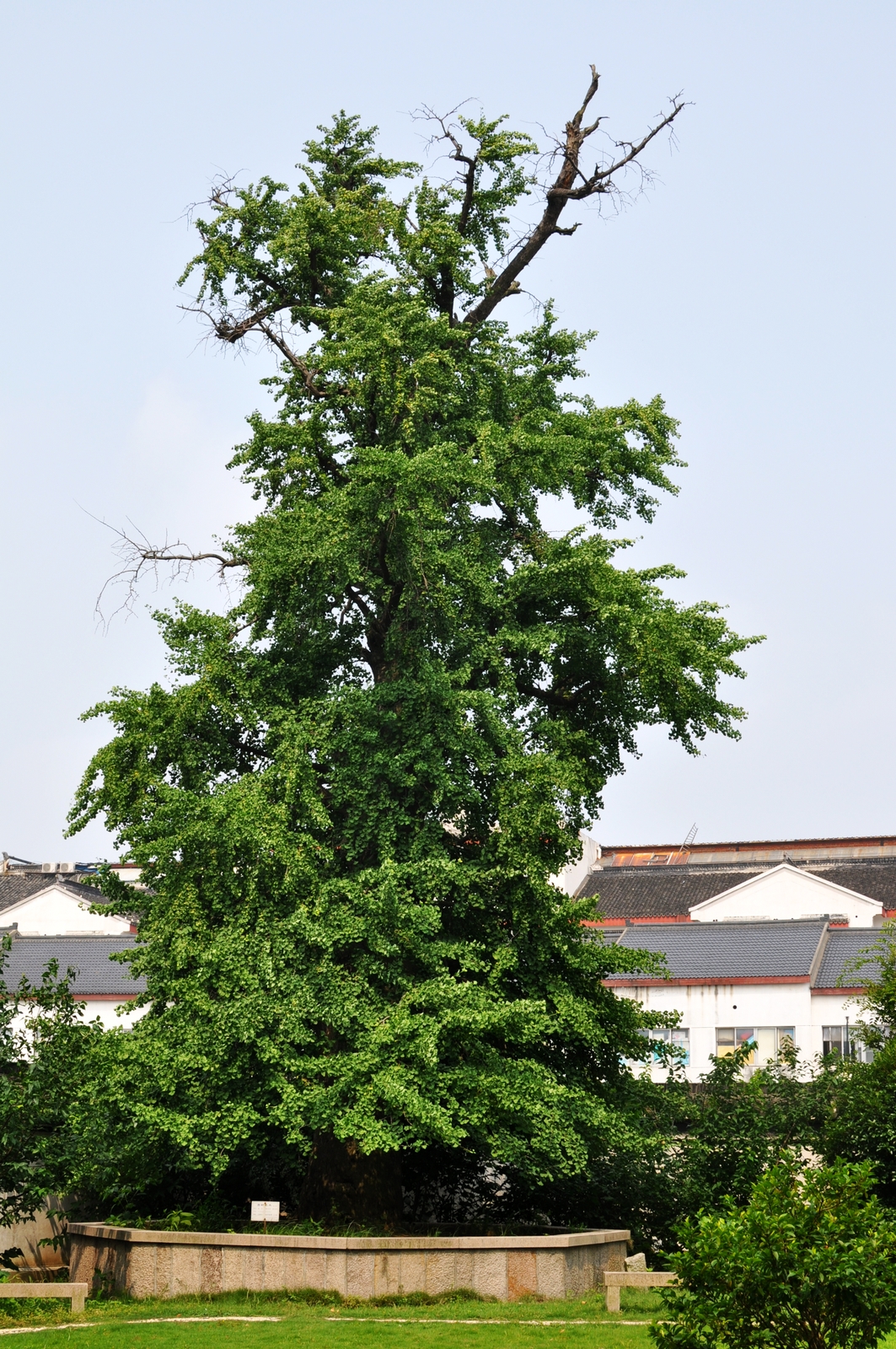 DSC_0018.jpg