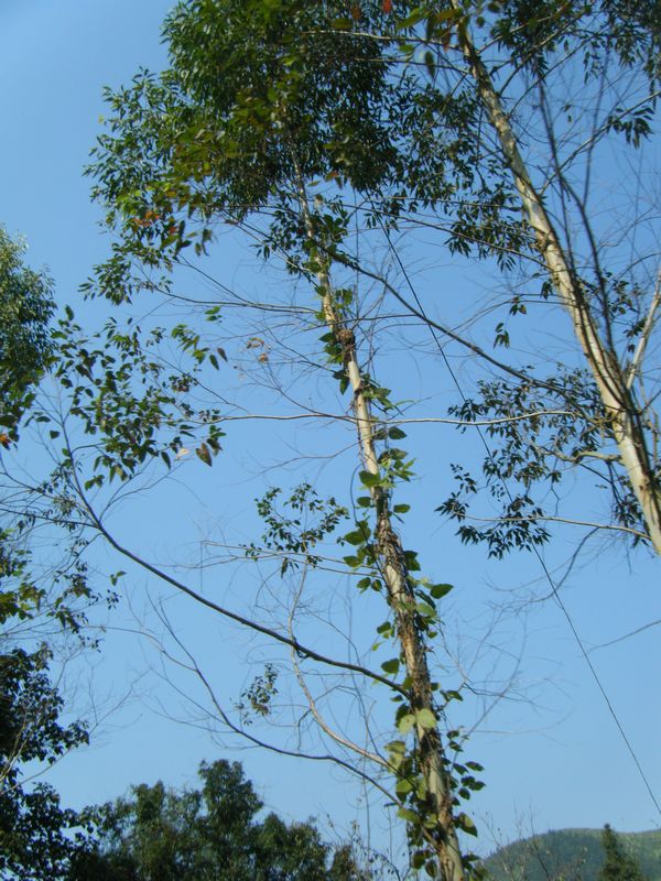 DSCF8629.JPG