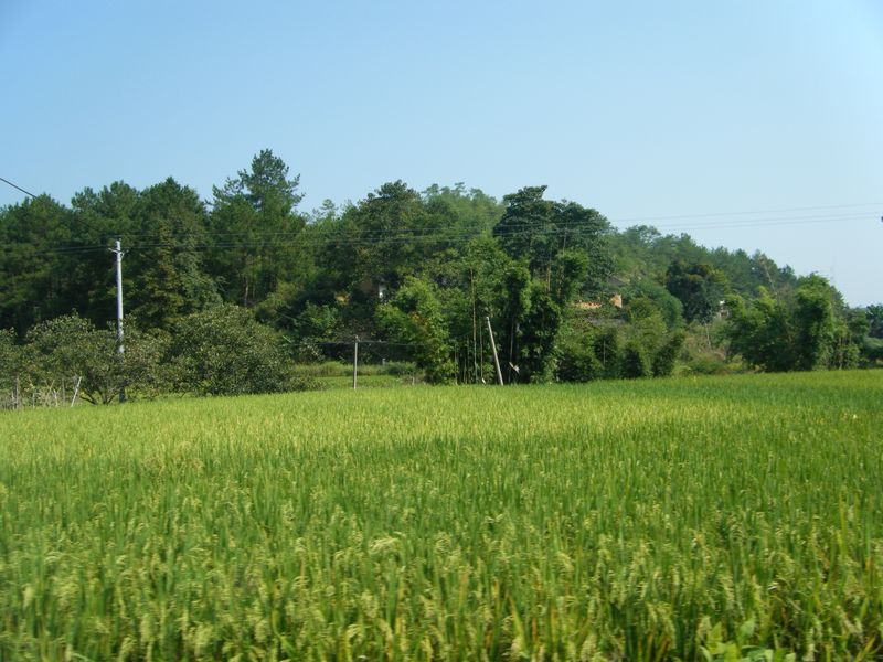 DSCF8637.JPG