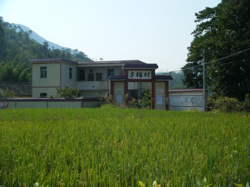 DSCF8641.JPG