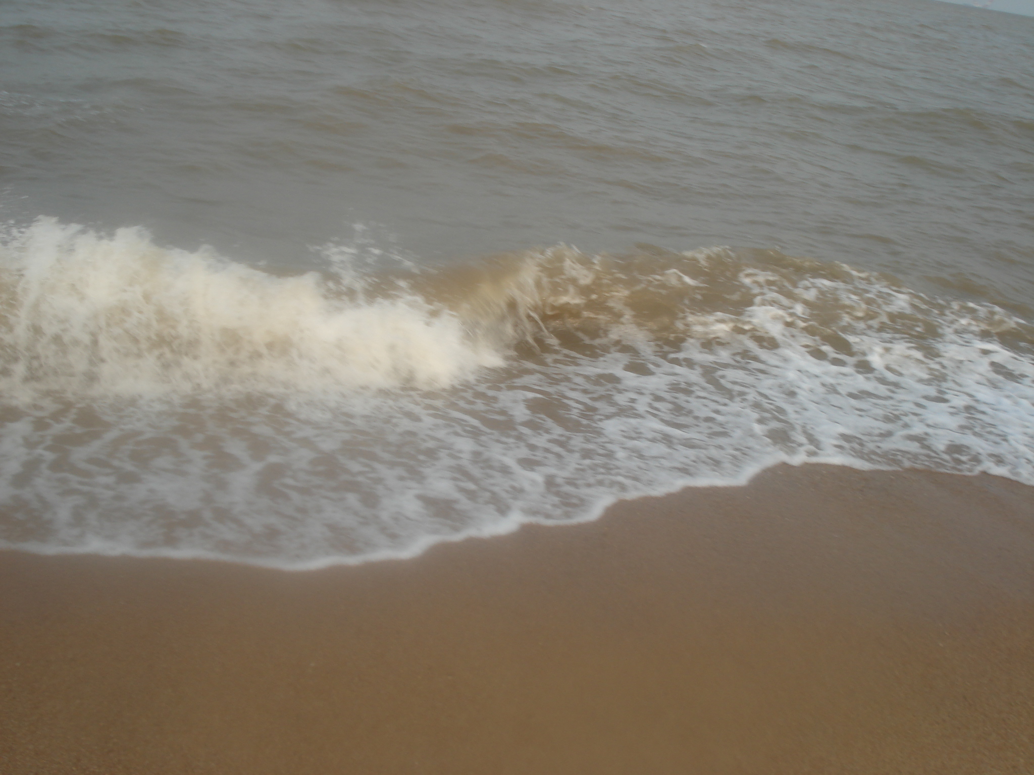 DSC07451.JPG