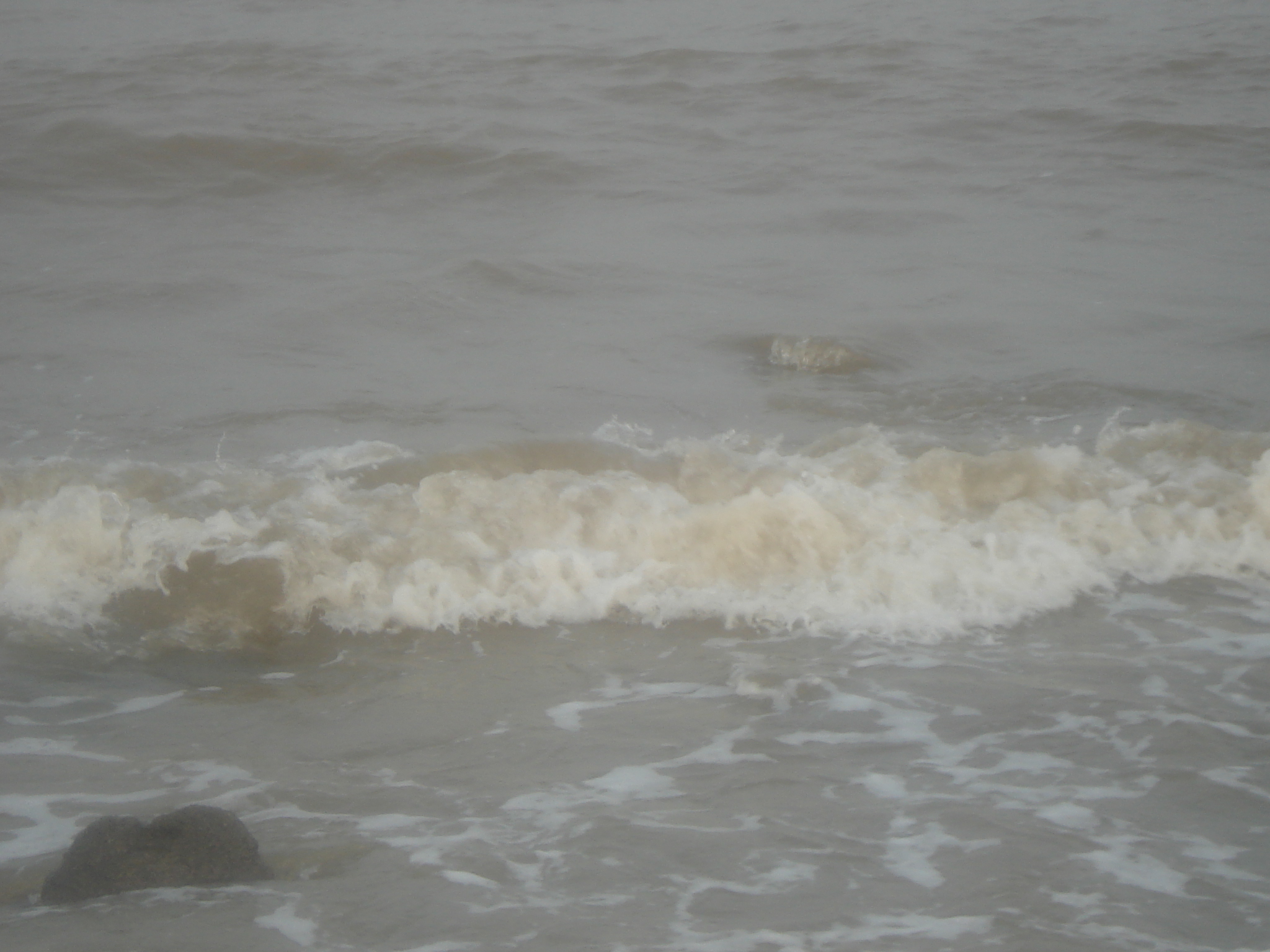 DSC07456.JPG