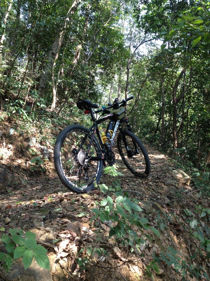 QQͼƬ20121023235408.jpg