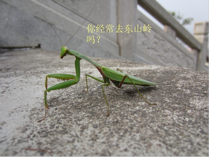 ϻ硱