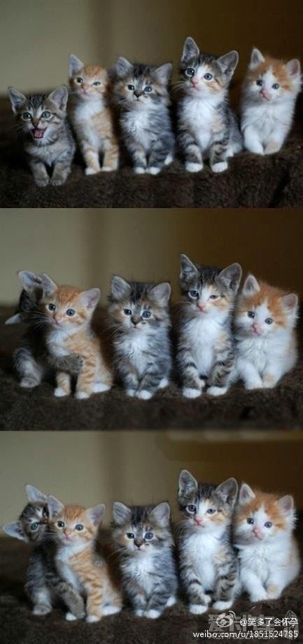 QQͼƬ20121025g0752.jpg