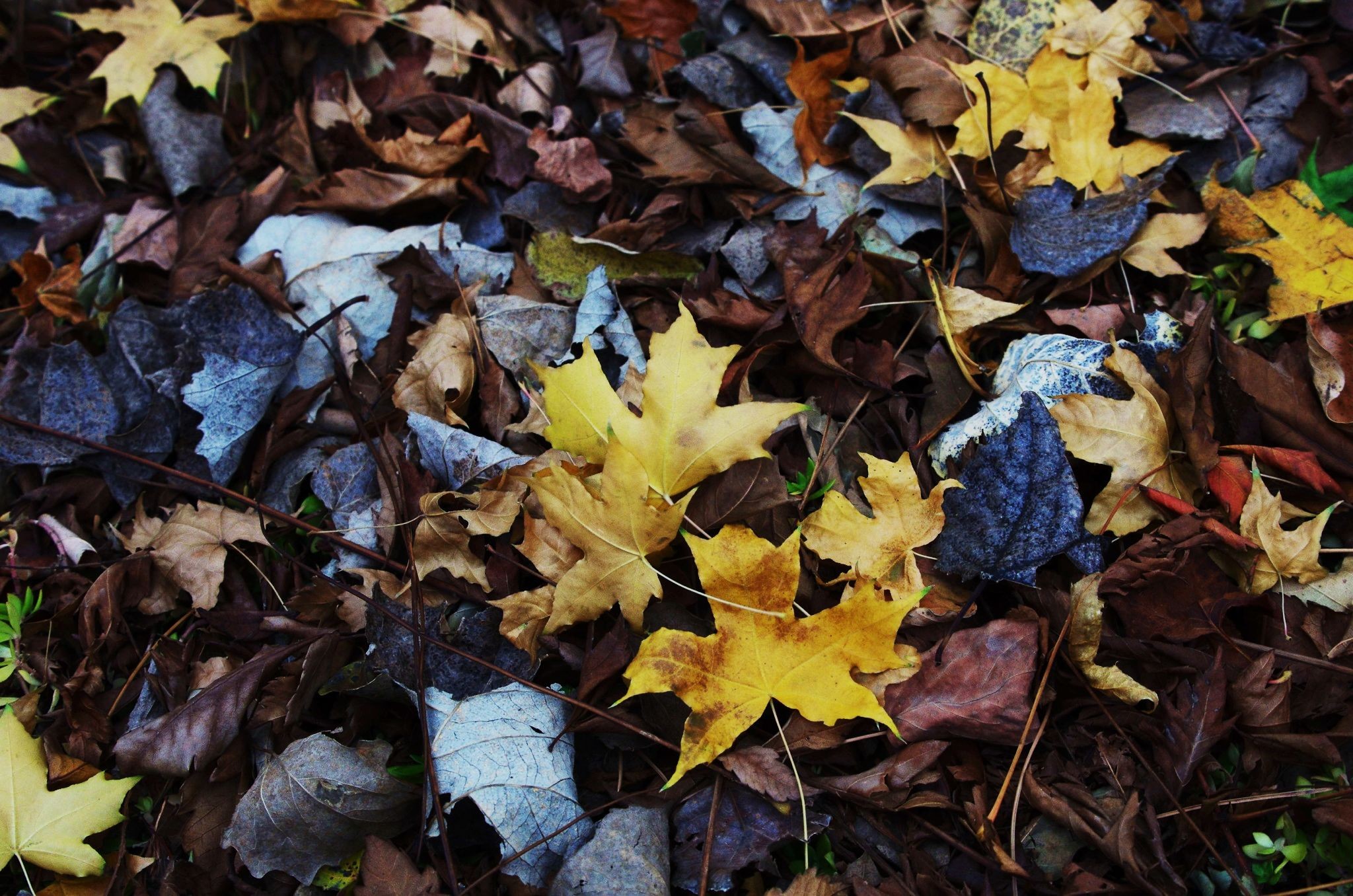 QQͼƬ20121029&#1956;!2134.jpg