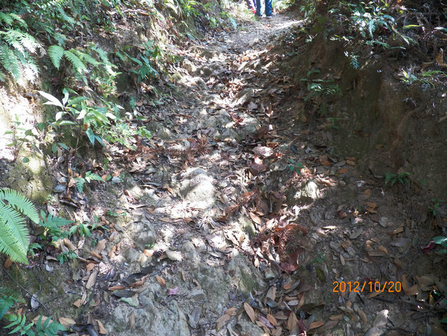 100_0895.JPG