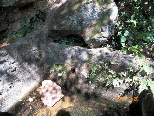 100_0921.JPG
