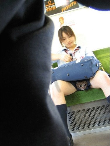 YU`YUI_`~0)MG5D3}TLRUSF.jpg