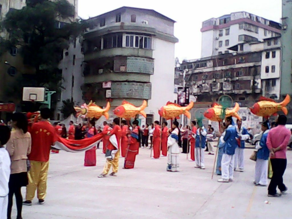 IMG_20121116_152406.jpg