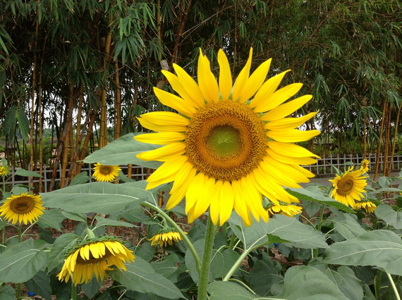 GPE Guangzhou 2012 105_С.JPG