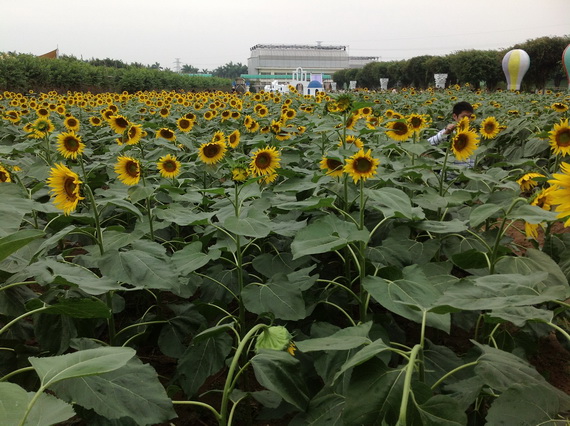GPE Guangzhou 2012 111_С.JPG