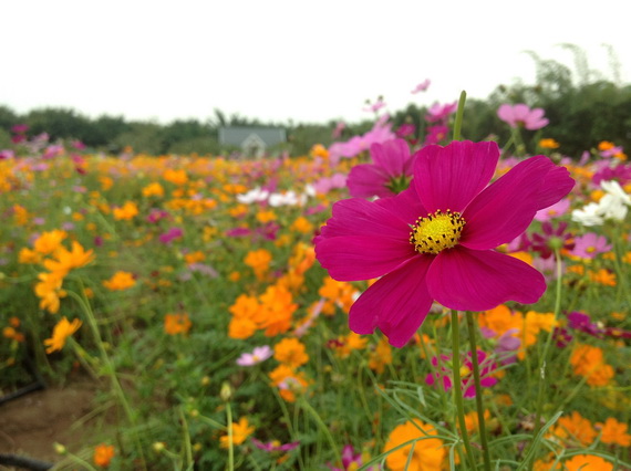 GPE Guangzhou 2012 131_С.JPG
