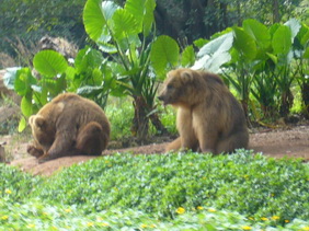 P1100024_С.JPG
