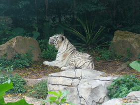 P1100120_С.JPG