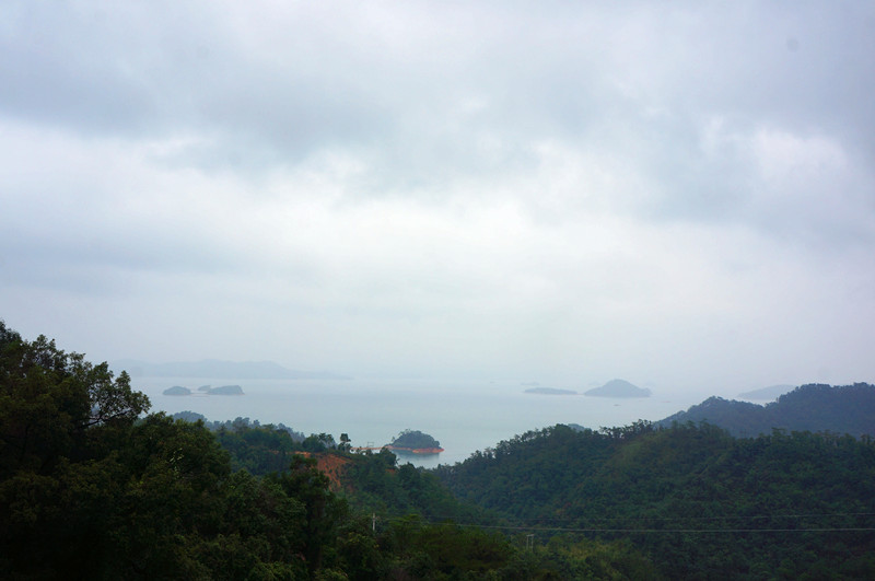 DSC04909.jpg