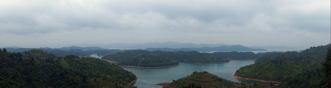 DSC04925.jpg