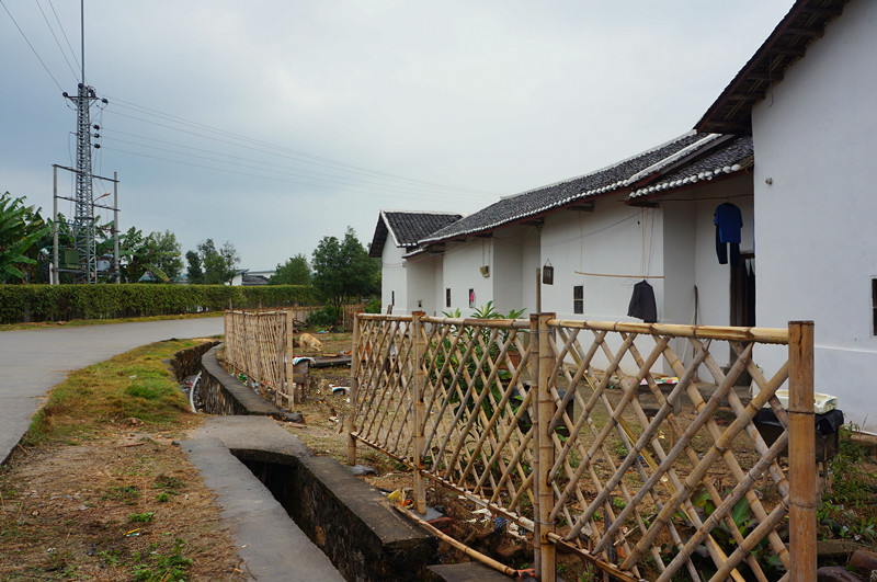 DSC04927.jpg