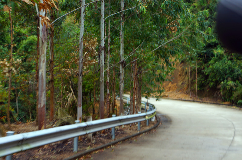 DSC04987.jpg