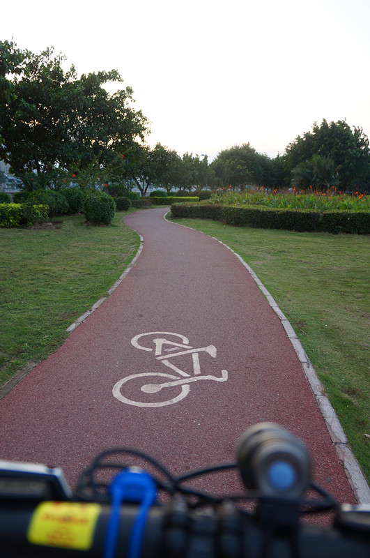 DSC04827.jpg