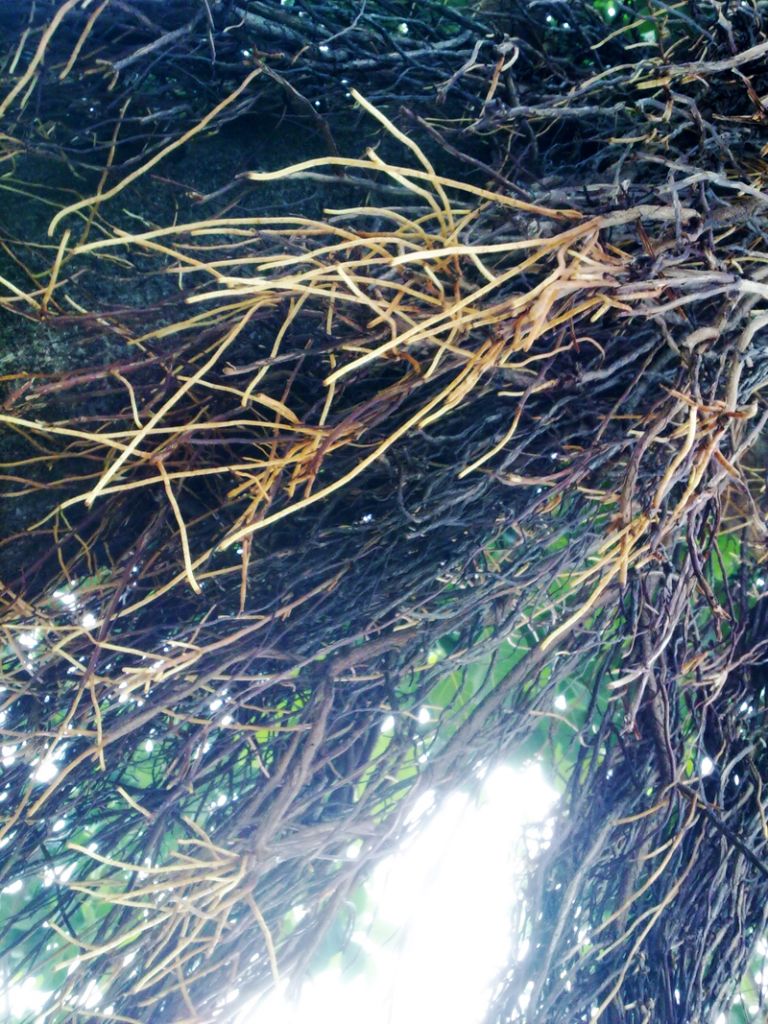 20120805771.jpg