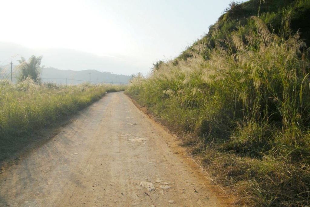 DSCF5240.JPG