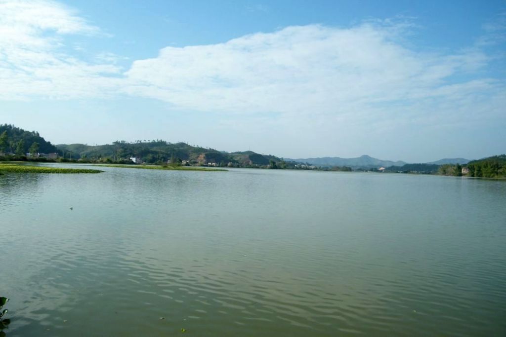 DSCF5184.JPG