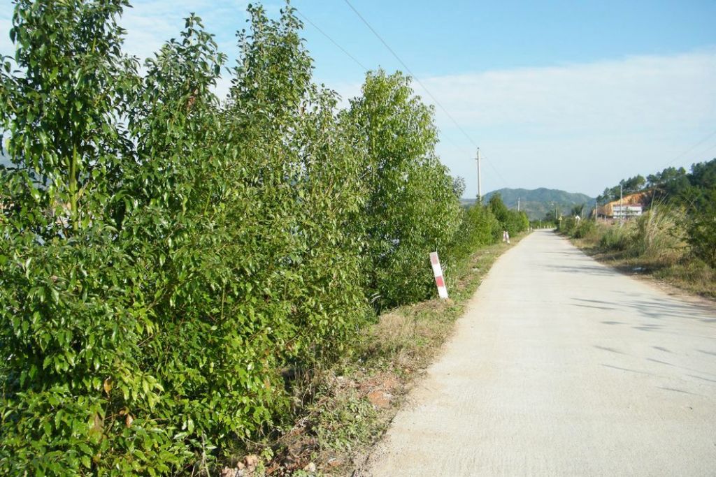 DSCF5200.JPG