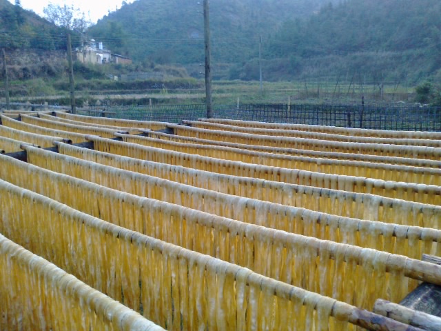 20121209281.jpg