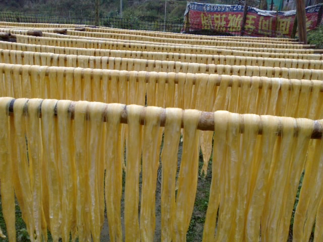 20121205268.jpg