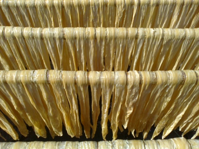 20121207275.jpg