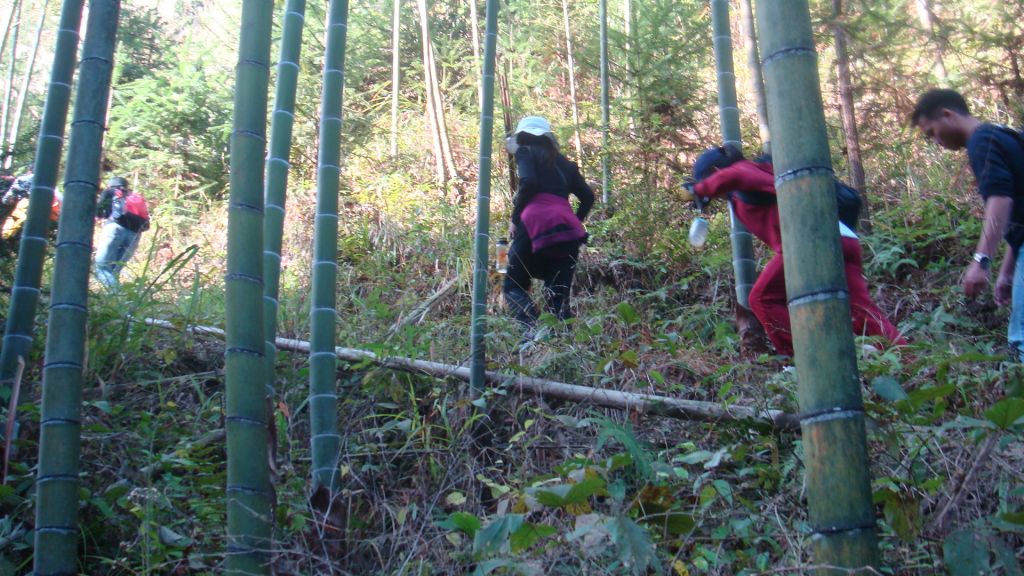 DSC07069.JPG