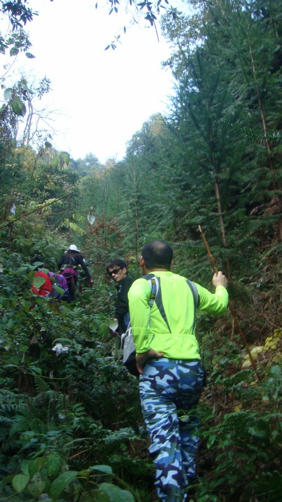 DSC07085.JPG