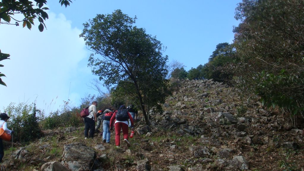 DSC07165.JPG
