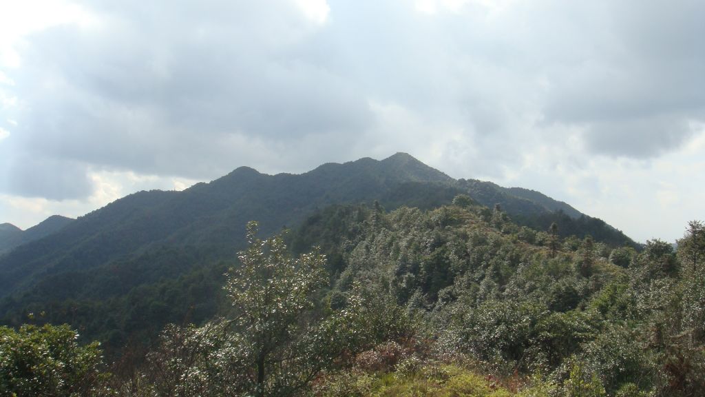 DSC07211.JPG