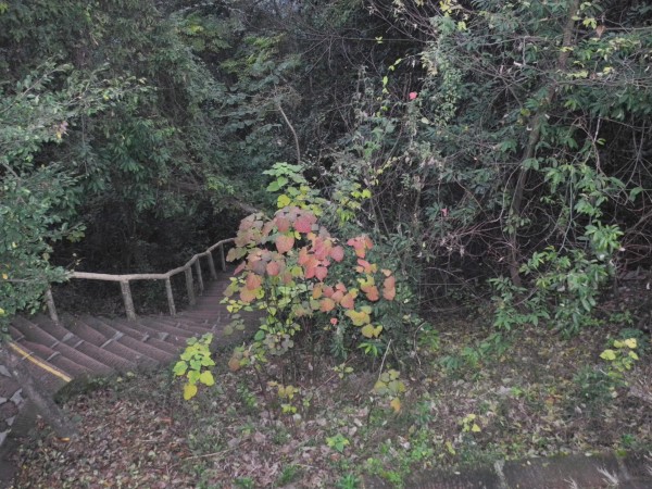 conew_dscn0598.jpg