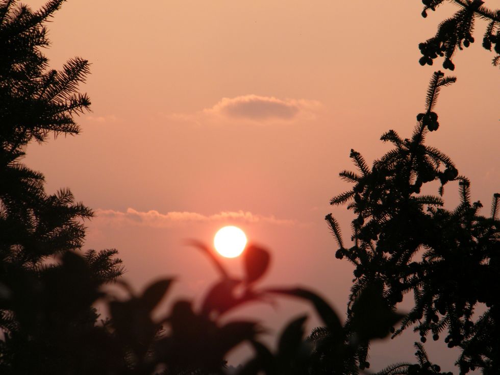 DSCF5445.JPG