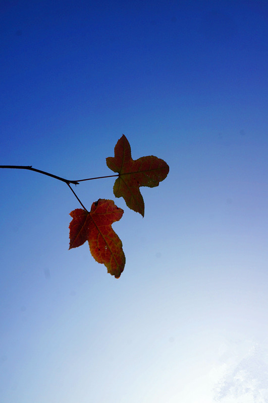 DSC07307.jpg